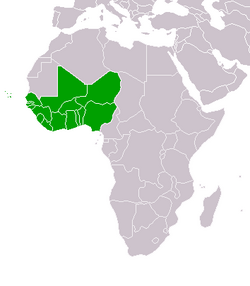 Afrique de l'Ouest